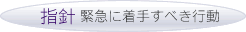 指針 慎重に着手すべき行動