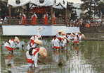 御田植神事写真